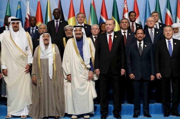 OIC condemns attack against Chadian military in Lake Chad