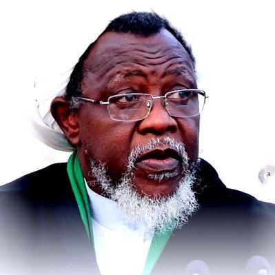 Leader of the Islamic Movement in Nigeria Sheikh Ibraheem Zakzaky