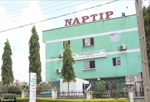 NAPTIP rescues 71 human trafficking victims in Kano