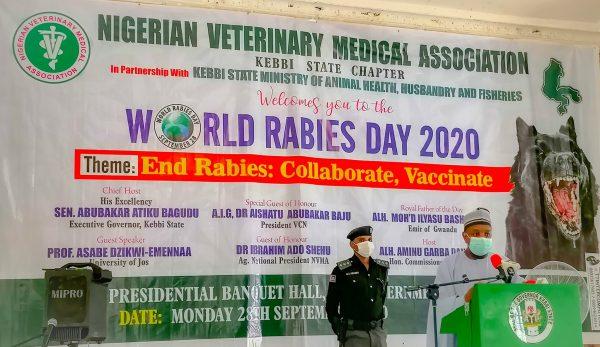 World Rabies Day: Kebbi gov approves free vaccination of dogs