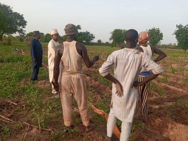 Bagudu mobilises dry season farmers in Kebbi