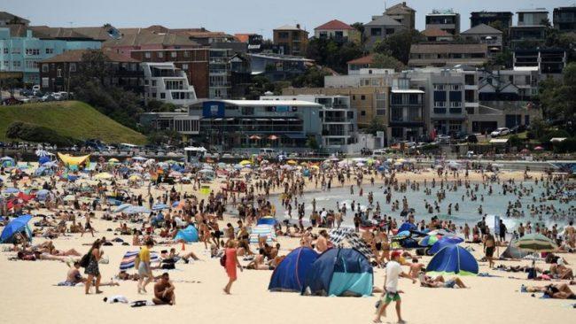 Temperatures in Sydney over the weekend have hit 40C