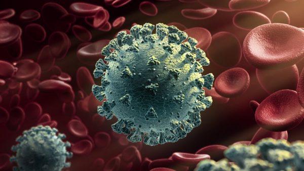 COVID-19 - New coronavirus variant: What do we know?