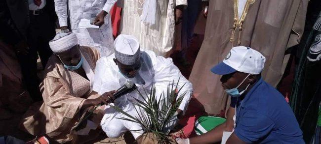 Sokoto sets up Nigeria's largest date palm plantation