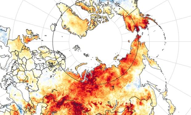 Hottest Temperature at Artic and northern Siberia