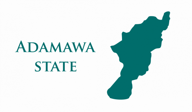 Adamawa politics: Between campaign and governance modes
