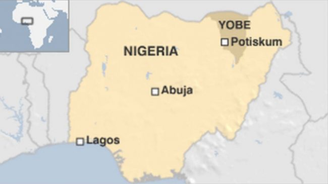 Sex worker stabbed to death in Yobe, police confirm