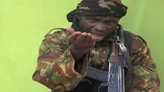 ISWAP: How Boko Haram leader Shekau died