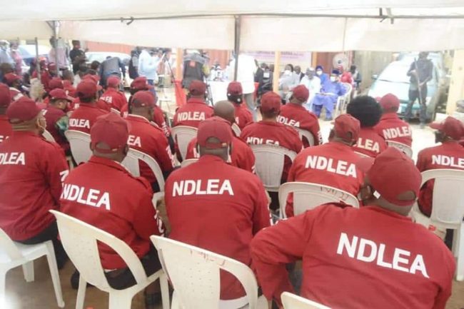 Recruitment: NDLEA fixes new date for training of successful candidates