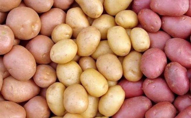 Plateau Potato Farmers