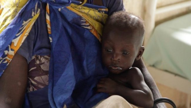 282m people undernourished in Africa — UN report