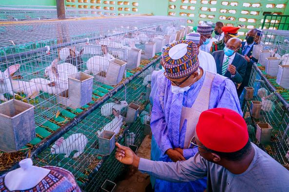 Lifting 100 million Nigerians out of poverty realisable - Buhari