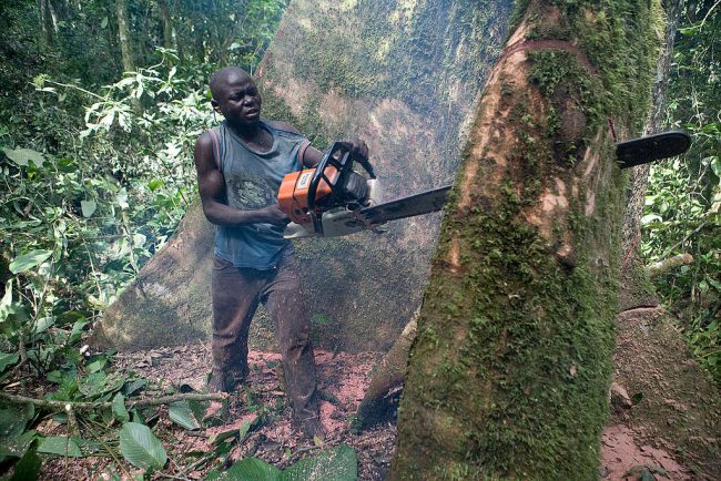 How widespread deforestation in Africa risks our climate future