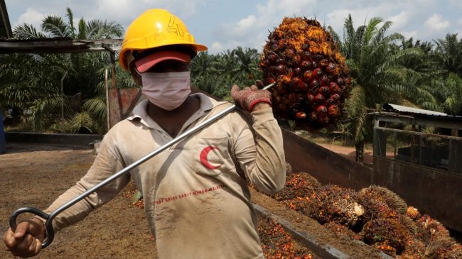 A Nigerian oil palm startup raised $4m to build 'smart' factory
