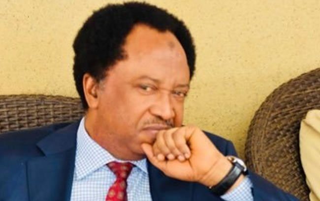 Shehu Sani dumps PRP for PDP - 3 years after quitting APC