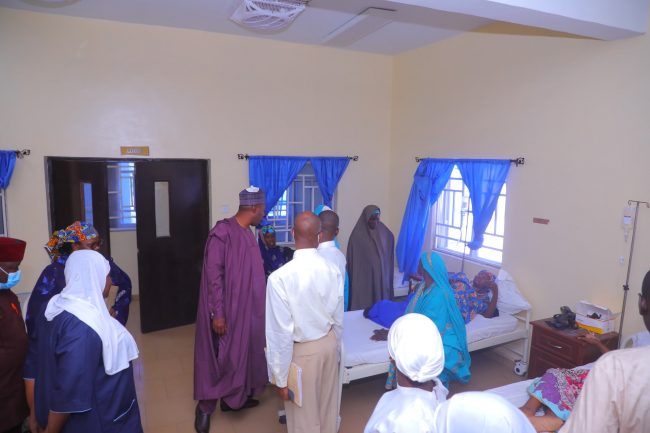 Zulum disguises, finds health officials collecting N10,000 for free services