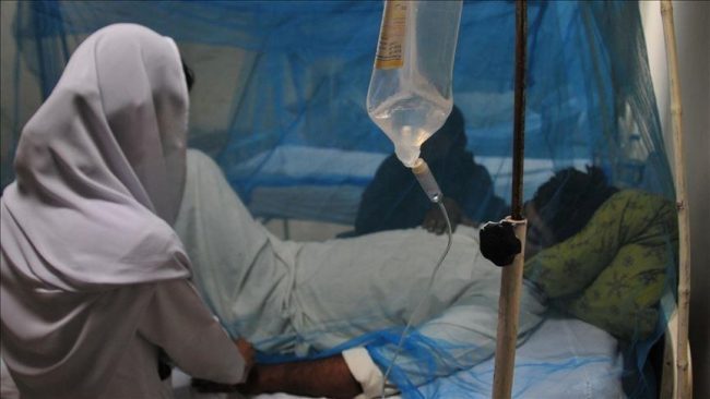 Dengue: 9 Indian states, union territories see rise in cases