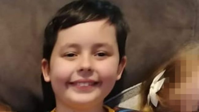 10-year-old boy killed in dog attack at friend's house