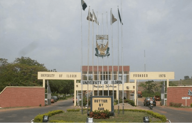 Police detain student of Ilorin varsity who 'beat female lecturer into coma'