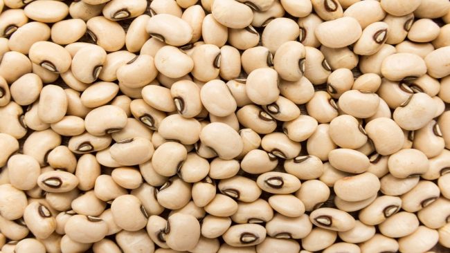 NABDA targets 8m farmers for cultivation of genetically modified cowpea