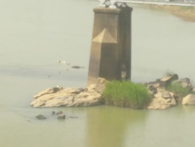 Floating corpse in Kaduna river causes stir