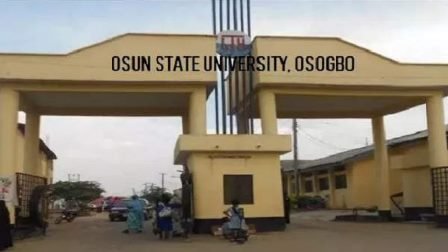 Cultists set Osun varsity student ablaze for refusing to join