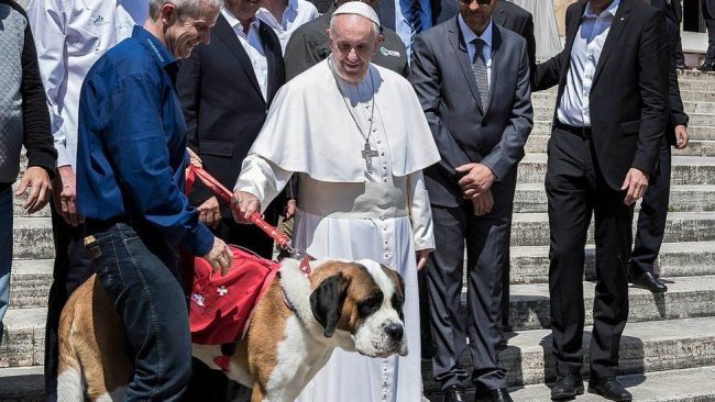 Pope Francis: Choosing pets over kids is selfish
