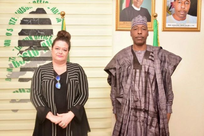French envoy meets Zulum, seeks partnership on agriculture, education