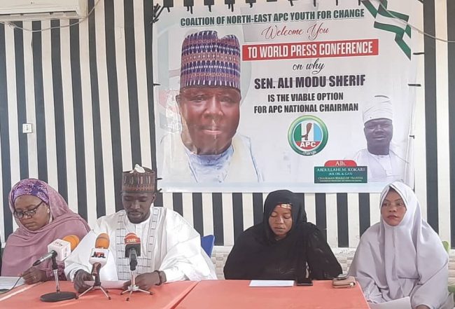 Coalition of North-East youths supports Sheriff for APC national chairman
