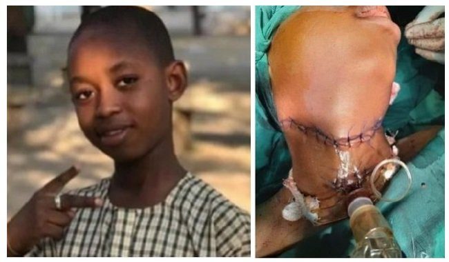 Borno panel to investigate alleged slitting of pupil’s throat by senior student