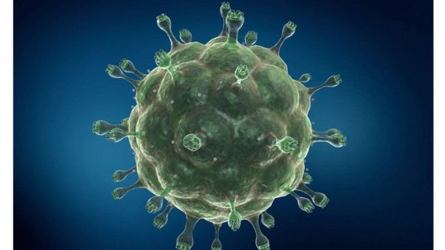 HIV: First woman in world believed to be cured of virus