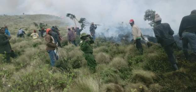 Fire destroys 600 hectares of national park in Kenya