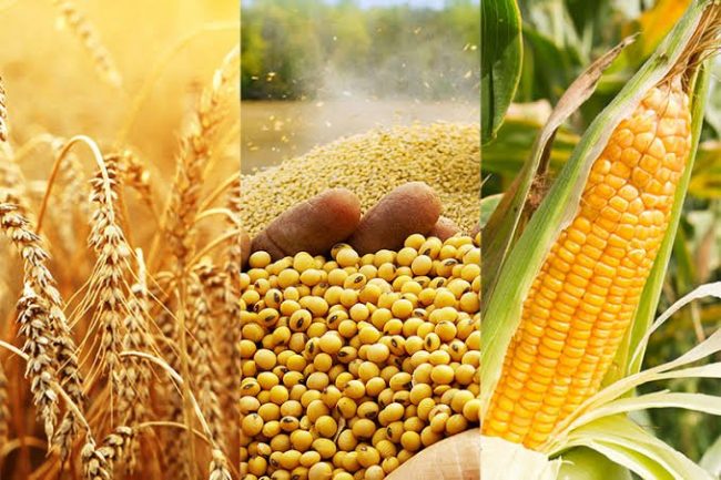 Right prices: FG bans foreigners from purchasing agricultural commodities
