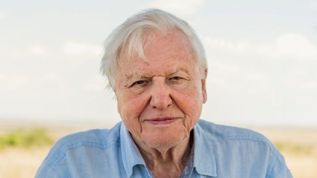 UN names Sir David Attenborough 'Champion of the Earth'