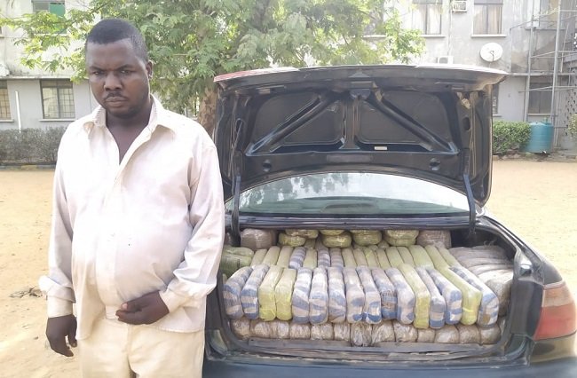 'I transported 250 parcels of Indian Hemp from Edo to Kano'