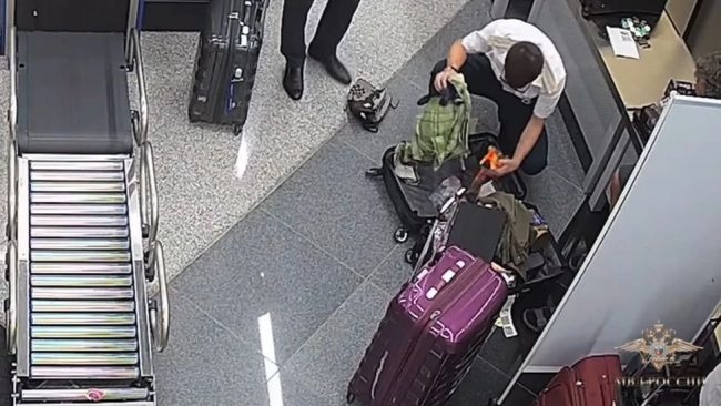 Russia jails US teacher 14 years for cannabis smuggling