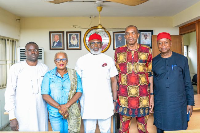 PDP holds emergency primary election for Edo North Senatorial zone