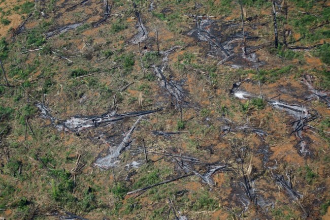 An aerial view shows a deforested plot of the Amazon rainforest in Rondonia State, Brazil September 28, 2021.