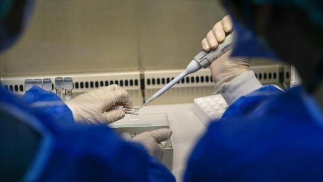 Monkeypox: UAE confirms 3 new cases