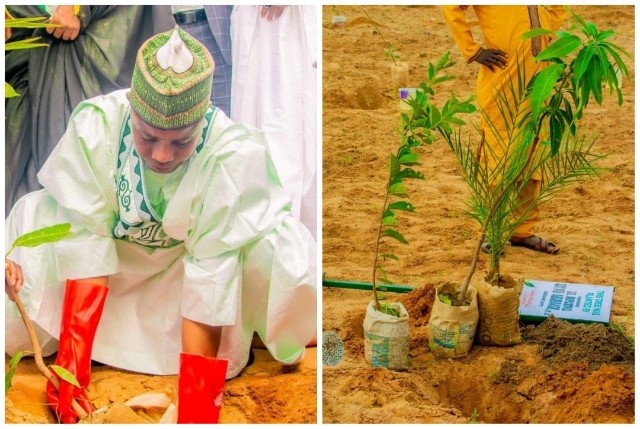Tambuwal: Sokoto establishes Climate Change Management Agency