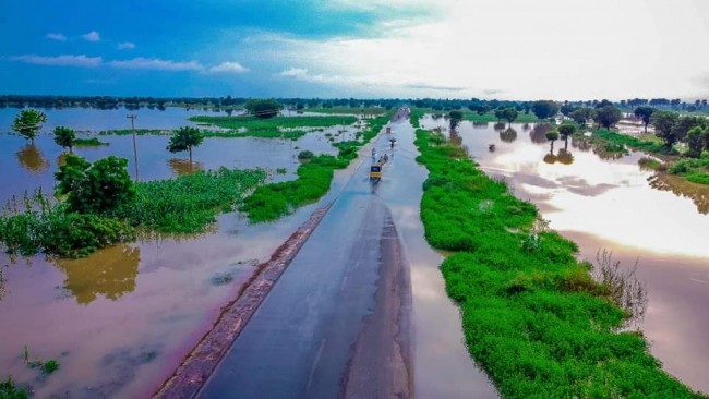 Flooding: Death toll tops 90 in Jigawa