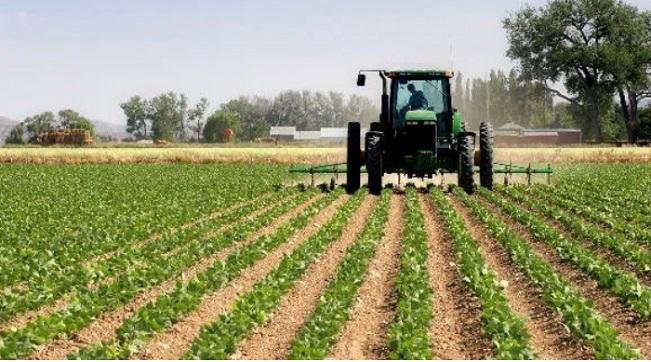 Agric ministry deploys 82,547 extension workers to promote local farming