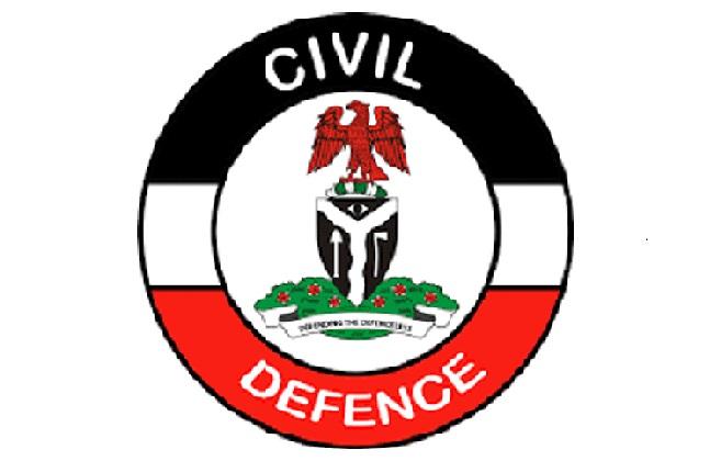NSCDC officer bags 7-year jail term for employment fraud
