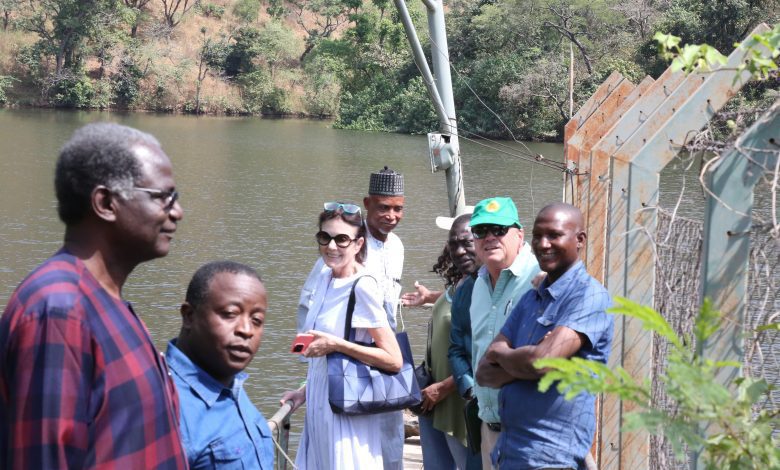 Buhari approves remodelling of Presidential Villa's wildlife sanctuary