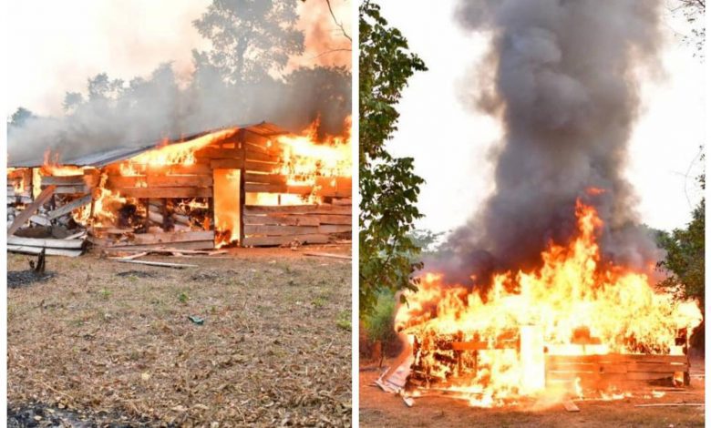 NDLEA storms Edo forests, razes 317 tons Cannabis warehouses, arrests 4