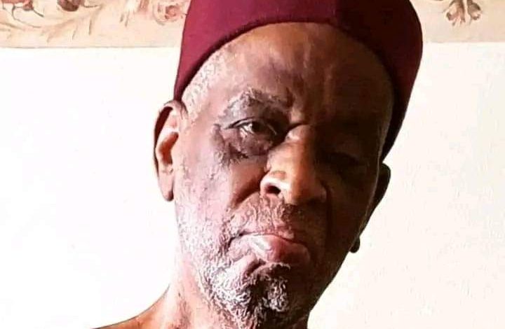 Elder statesman Musa Musawa dies in Kaduna