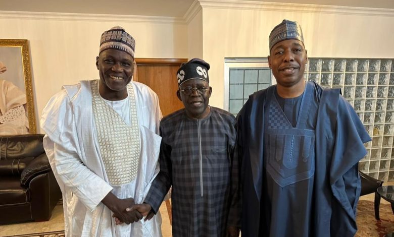 President-elect Tinubu receives Borno Governor Zulum in Lagos