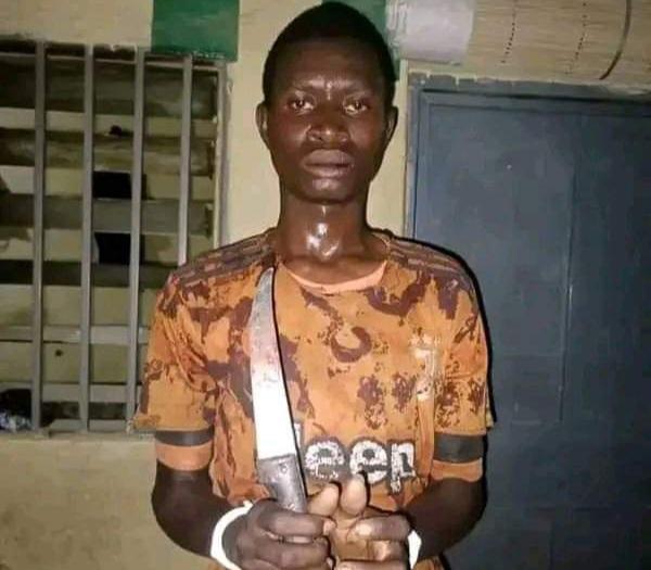 Police arrest teenager who stabbed mother to death in Kano