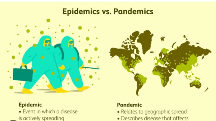 How prepared is Nigeria for next epidemic?