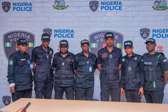 IGP disbands Edo police team after members' 'unprofessional conduct'